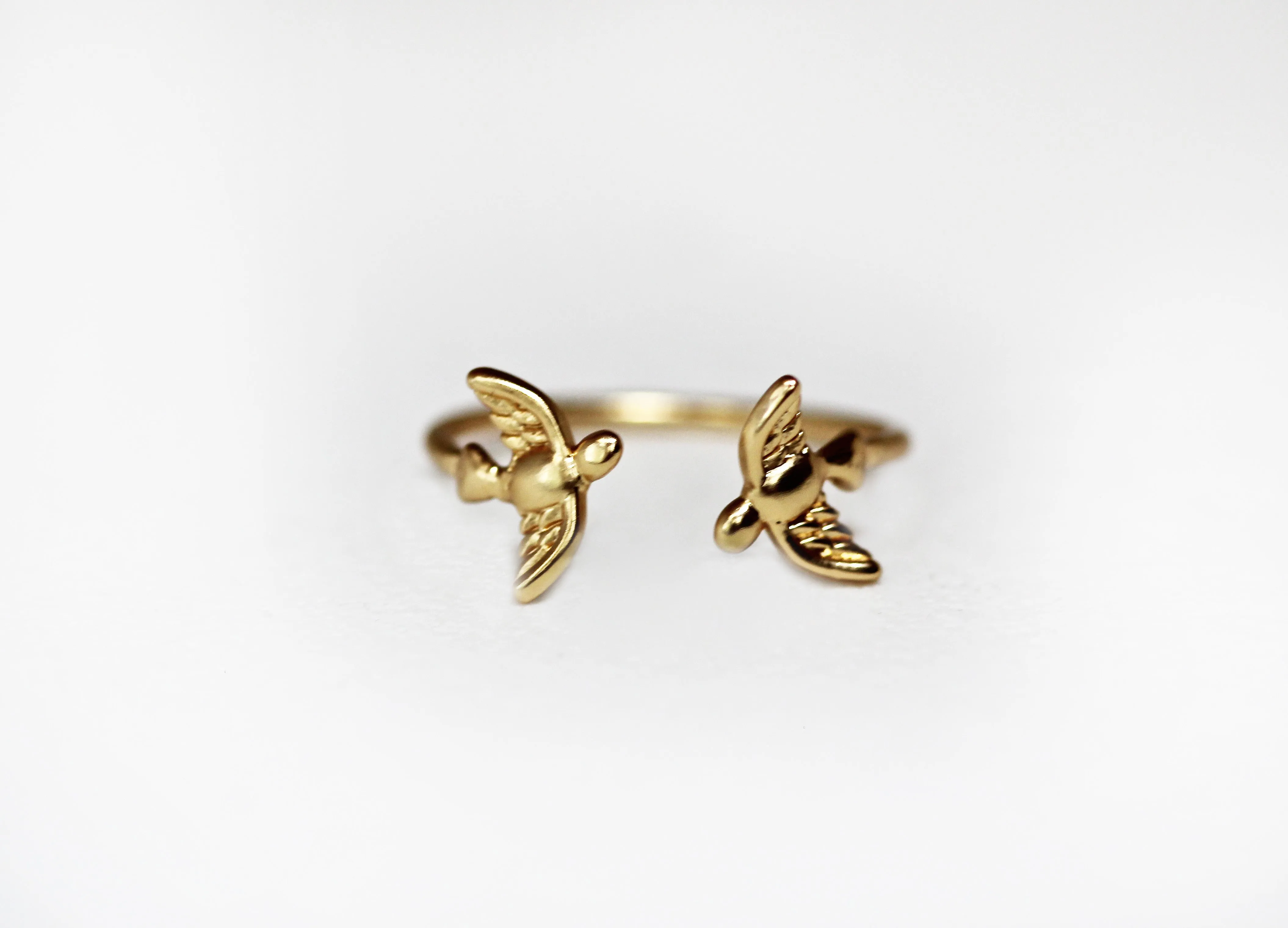 Birds Ring