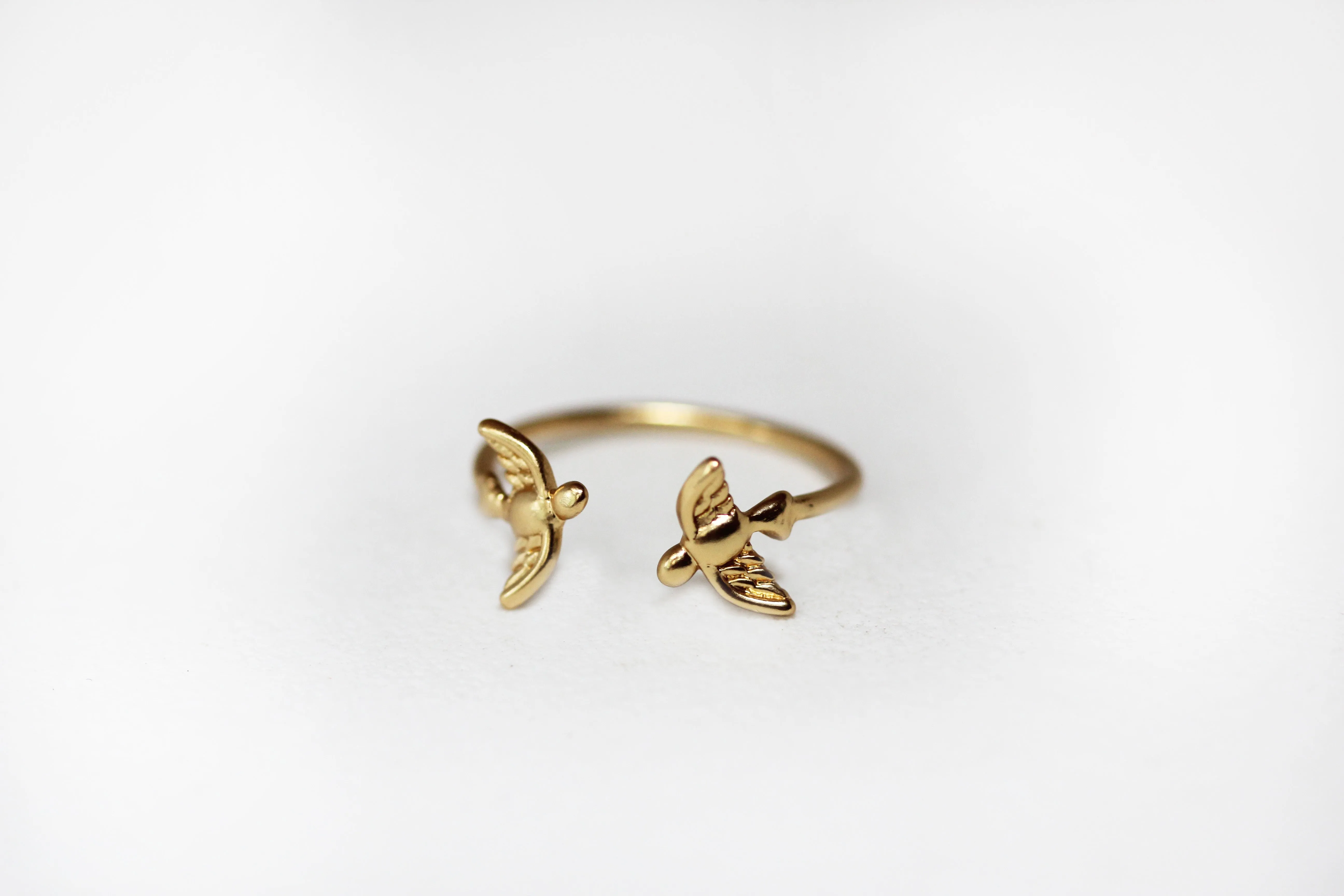 Birds Ring