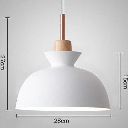 Fashion Indoor Pendant Lights LED Hanging Light Fixture