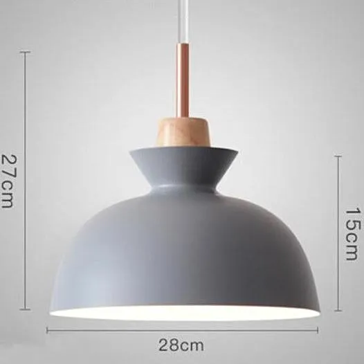 Fashion Indoor Pendant Lights LED Hanging Light Fixture