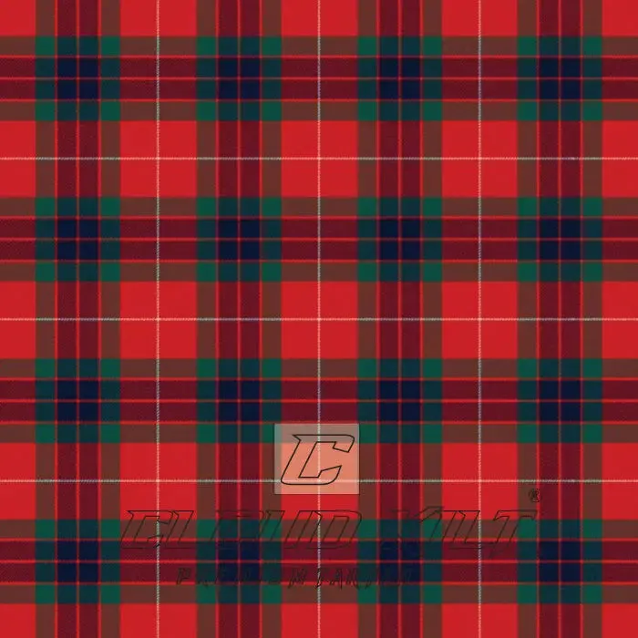 Fraser Modern Tartan