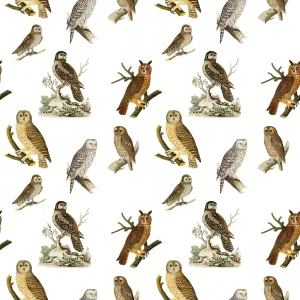 Owls Gift Wrap