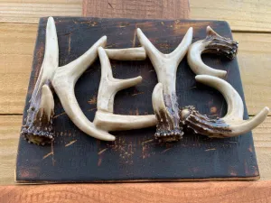 Rustic Deer Antler Horns Keychain Holder