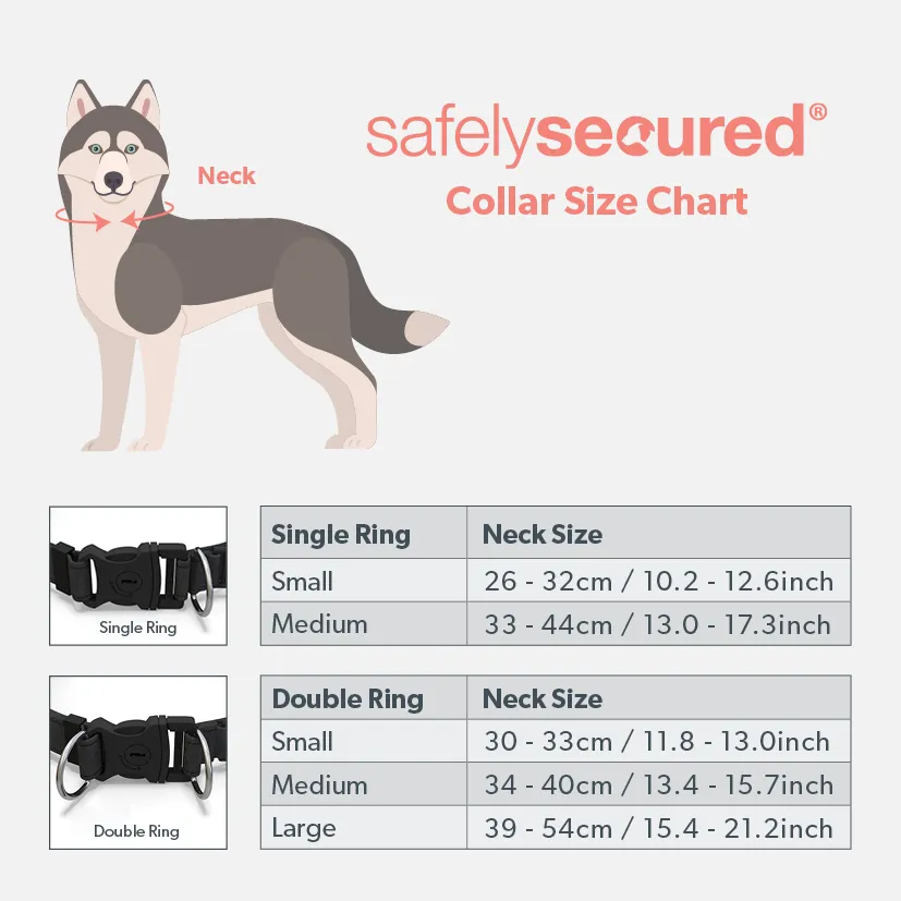 Safely Secured Anti-Theft Lockable Dog Collar