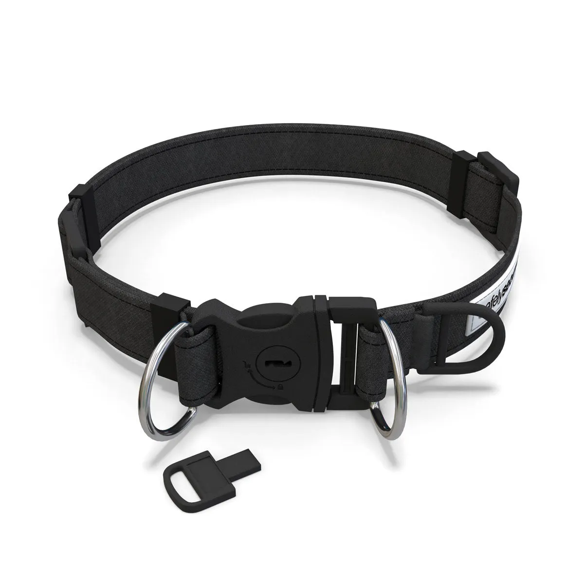 Safely Secured Anti-Theft Lockable Dog Collar