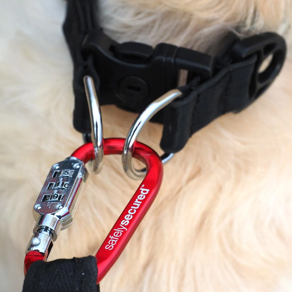 Safely Secured Anti-Theft Lockable Dog Collar