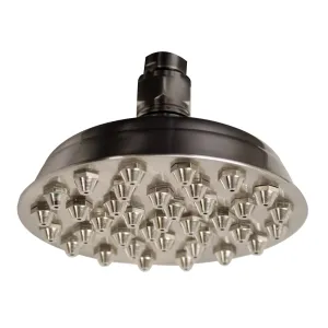 Whitehaus WHSM01-6-BN Showerhaus Small Sunflower Rainfall Showerhead with 37 Nozzles